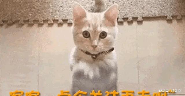 “集体沉默”！《浪姐》艺人全覆没！AG真人地址众星转发爱国动态台艺人(图5)